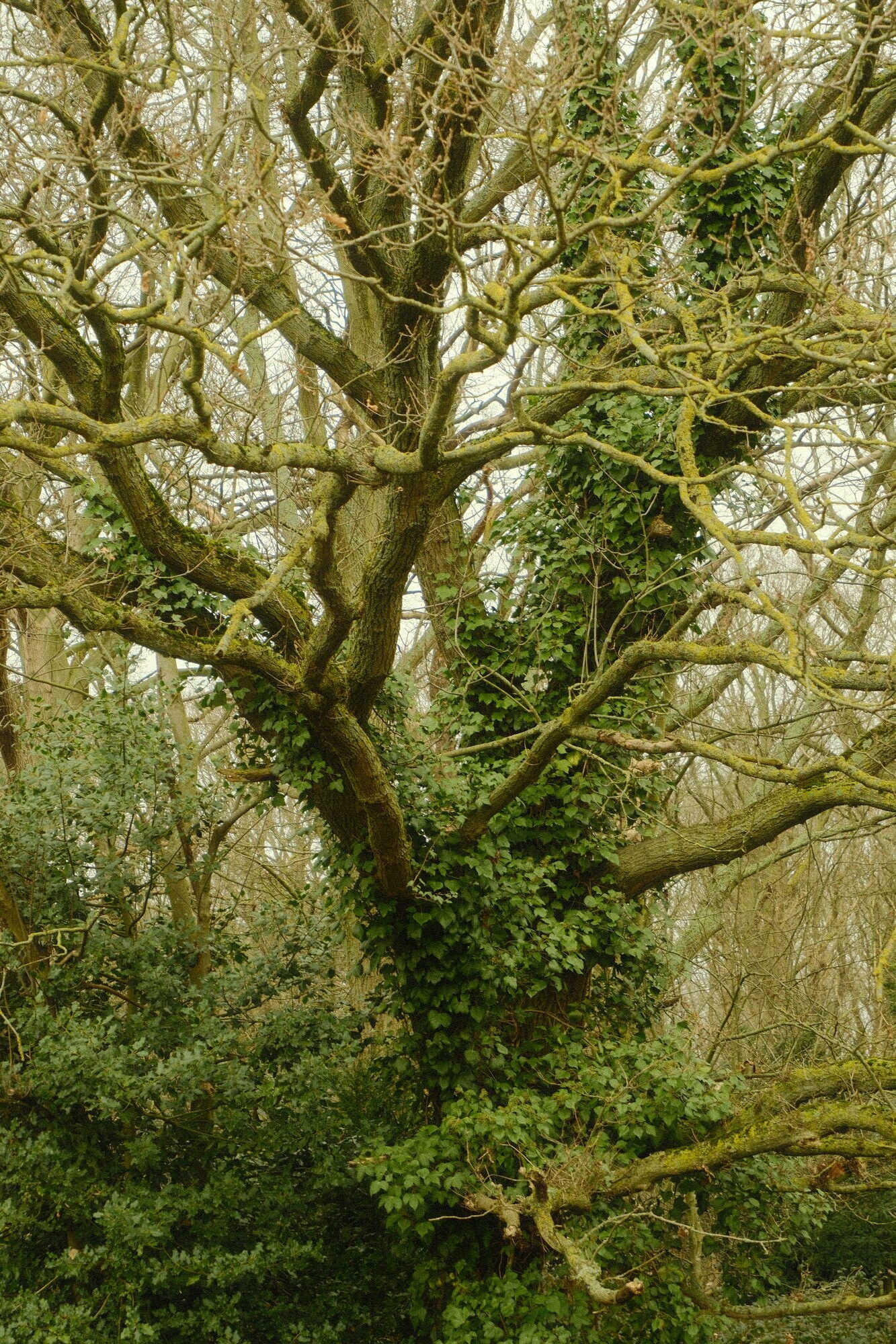 street photography – mångata studio