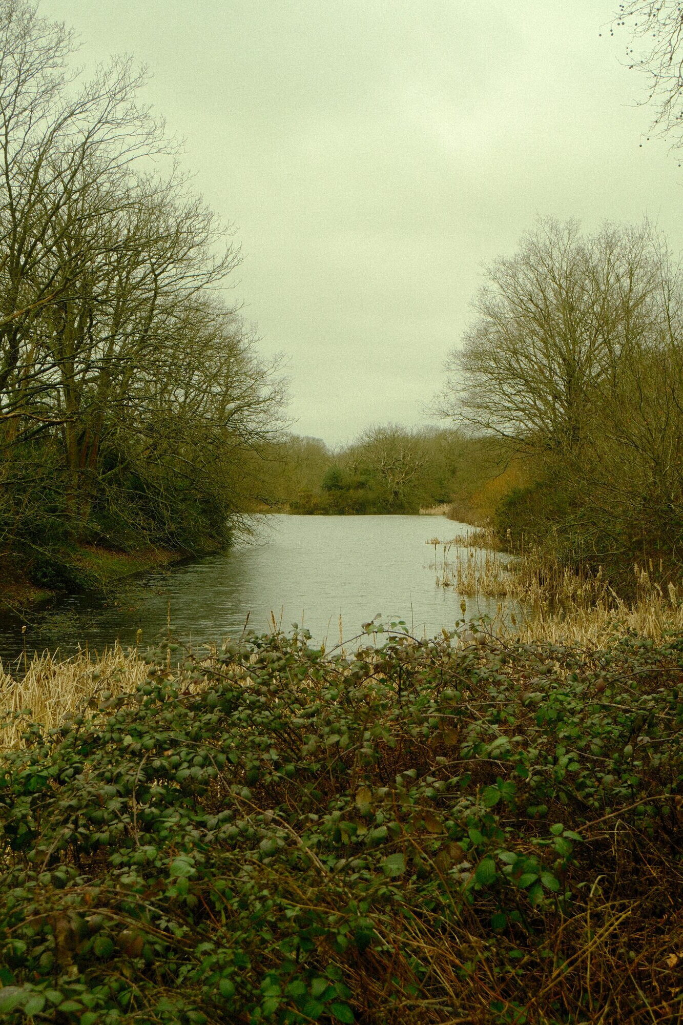 street photography – mångata studio