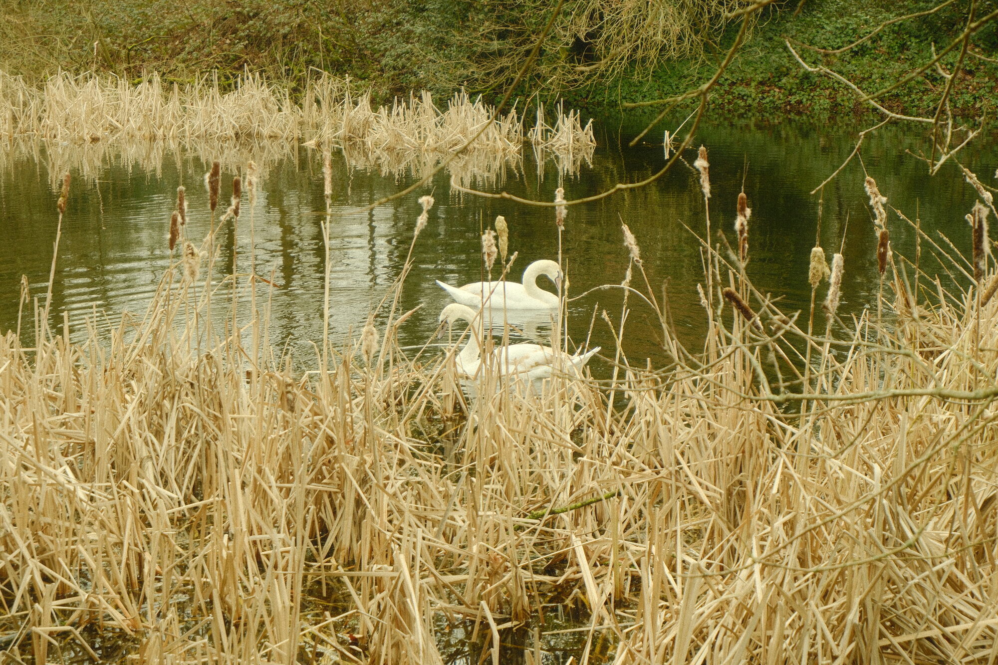 street photography – mångata studio
