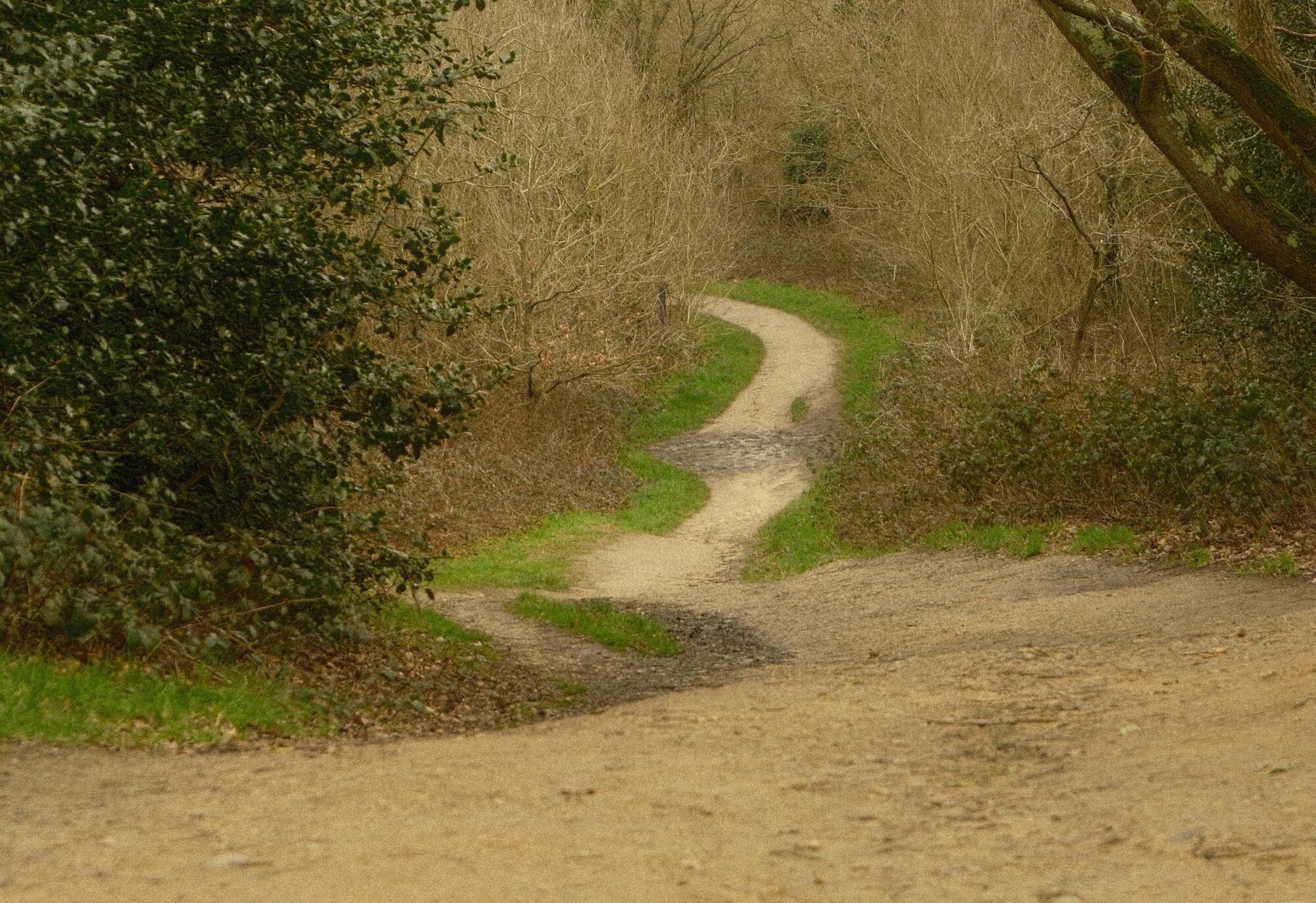street photography – mångata studio