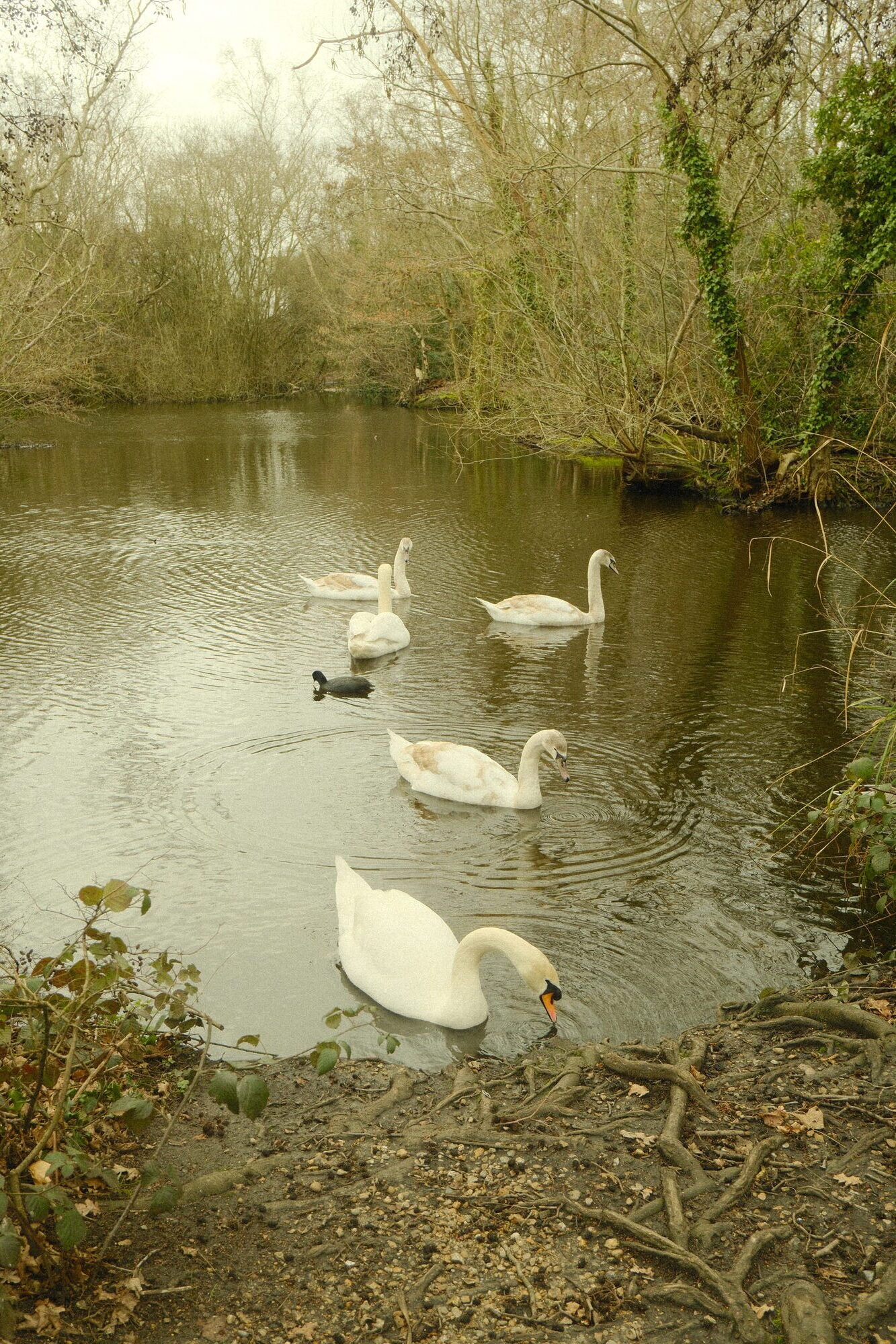 street photography – mångata studio