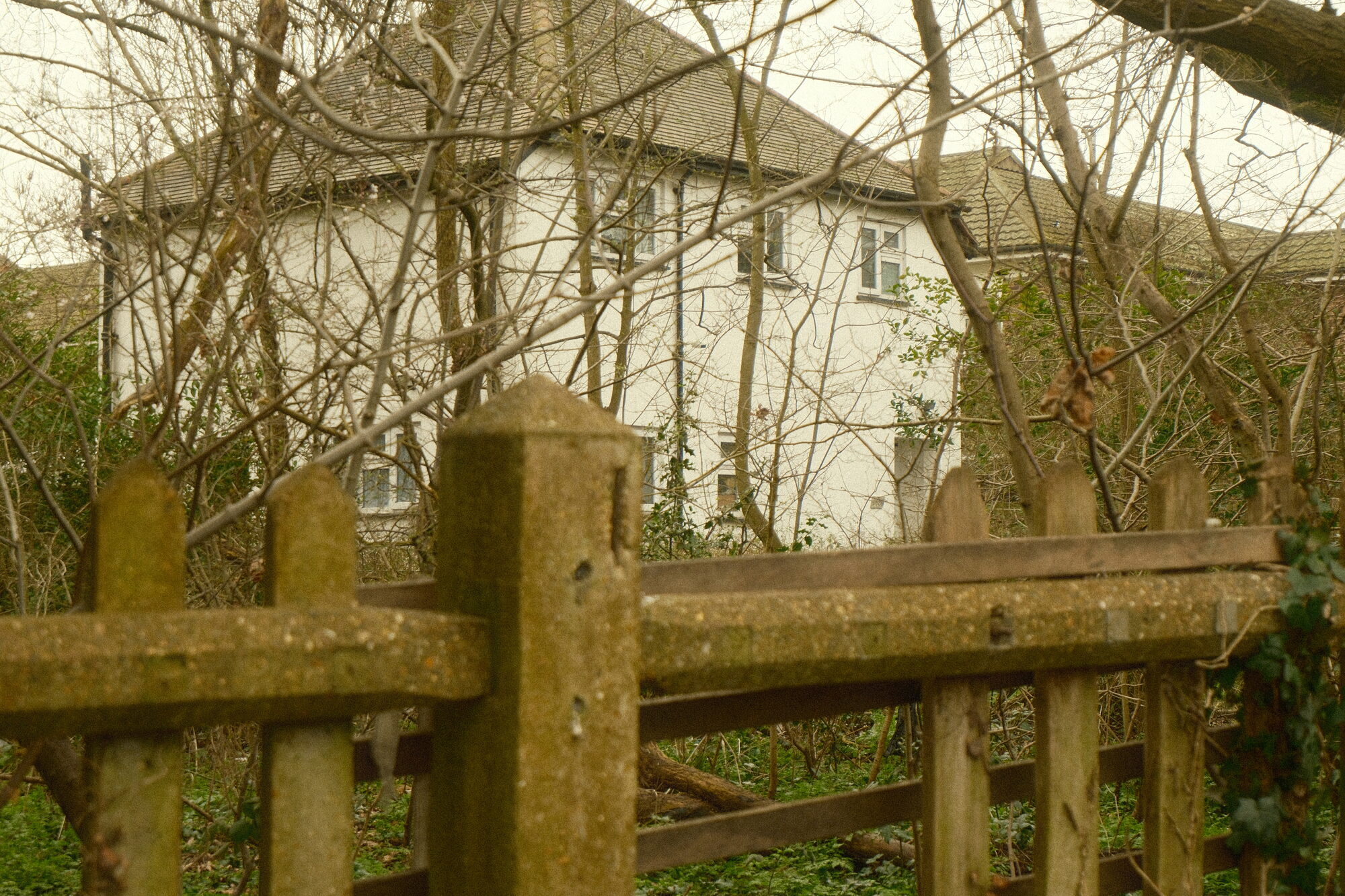 street photography – mångata studio