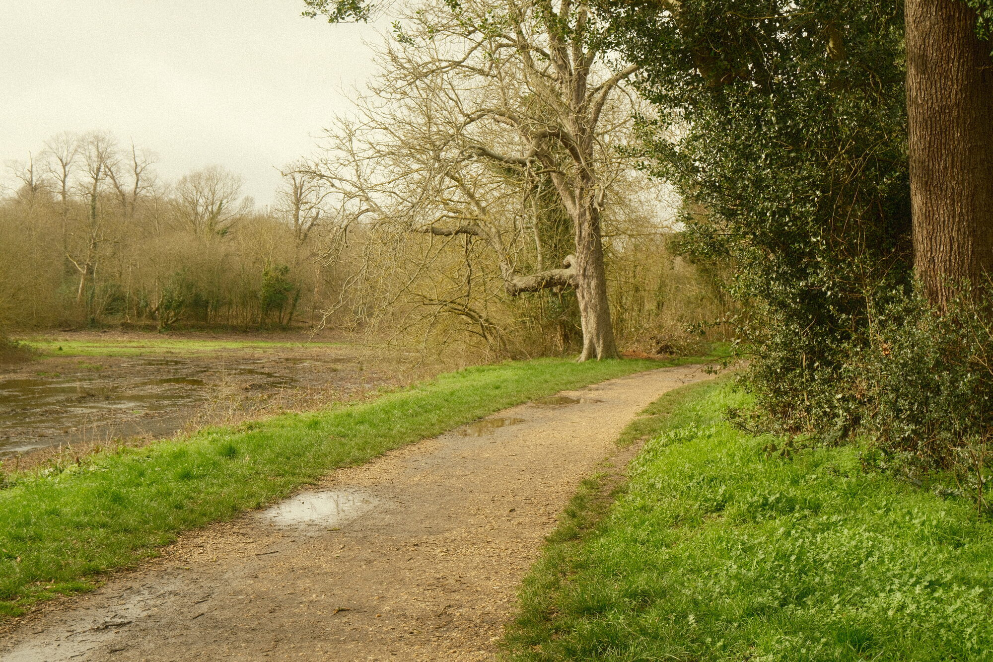 street photography – mångata studio