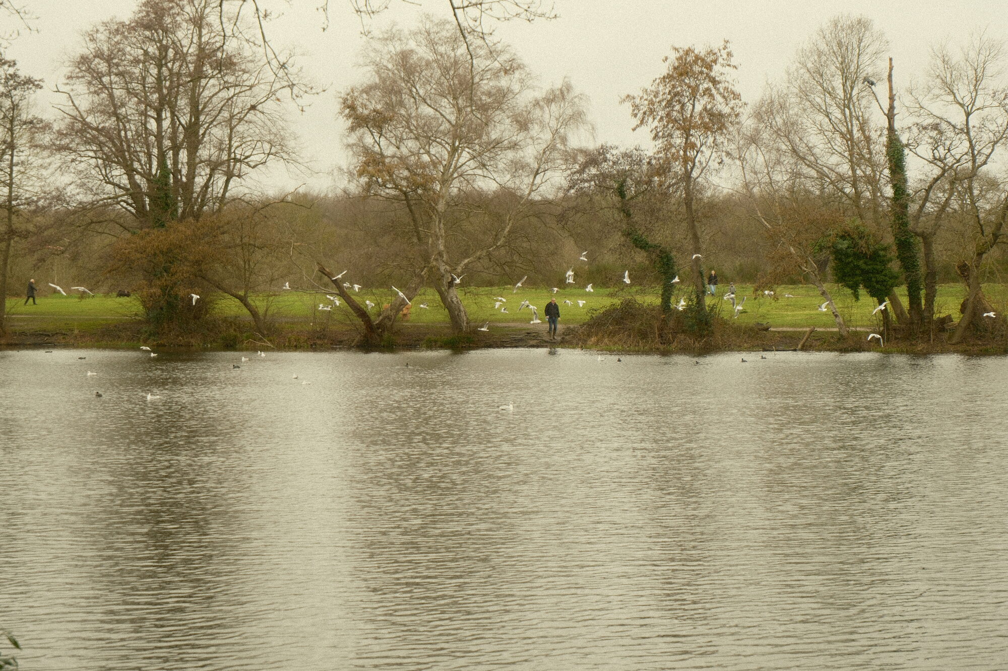 London